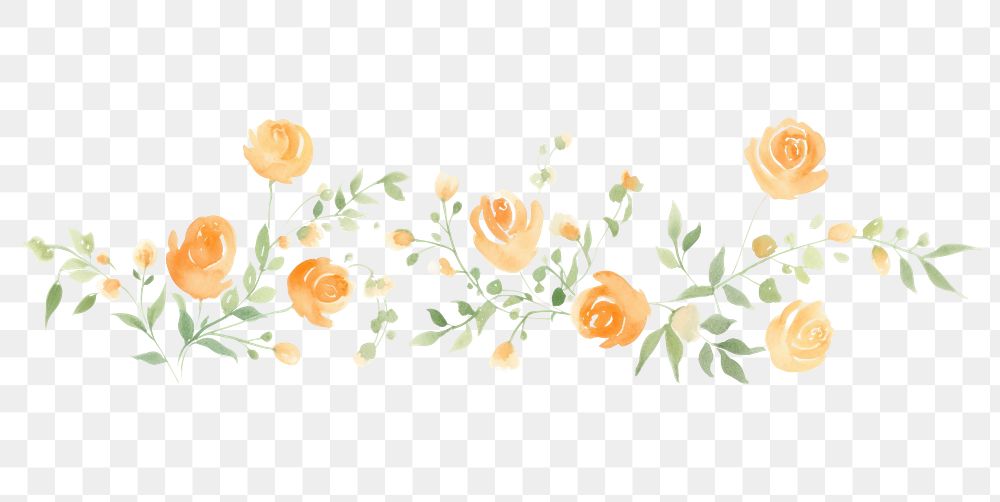 PNG Orange roses as line watercolour illustration pattern flower plant.