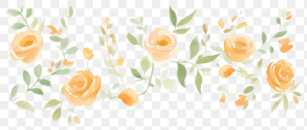 PNG Orange roses as line watercolour illustration backgrounds pattern flower.