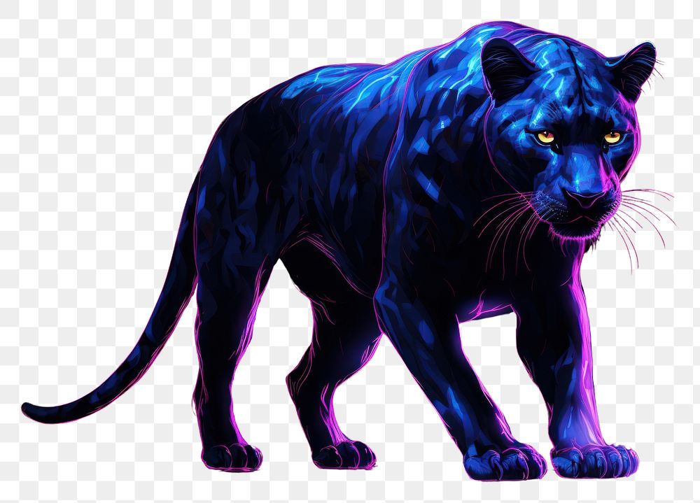 PNG Illustration panther Neon rim light wildlife animal mammal.