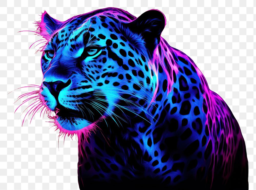 PNG Illustration roaring leopard neon rim light wildlife portrait animal.