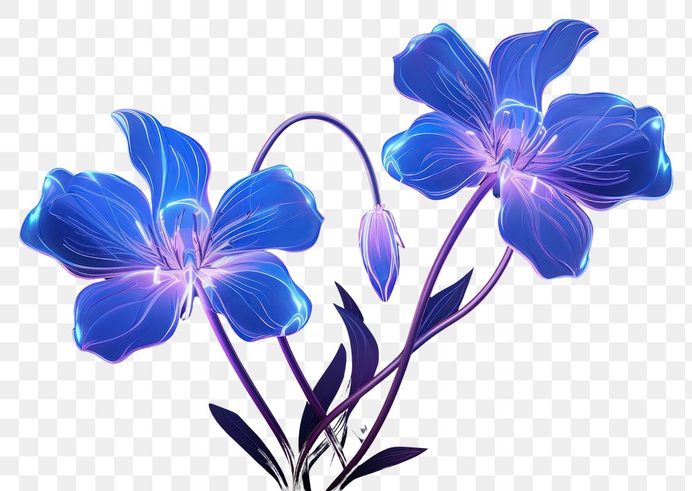 PNG Illustration wild flower neon rim light purple plant blue.