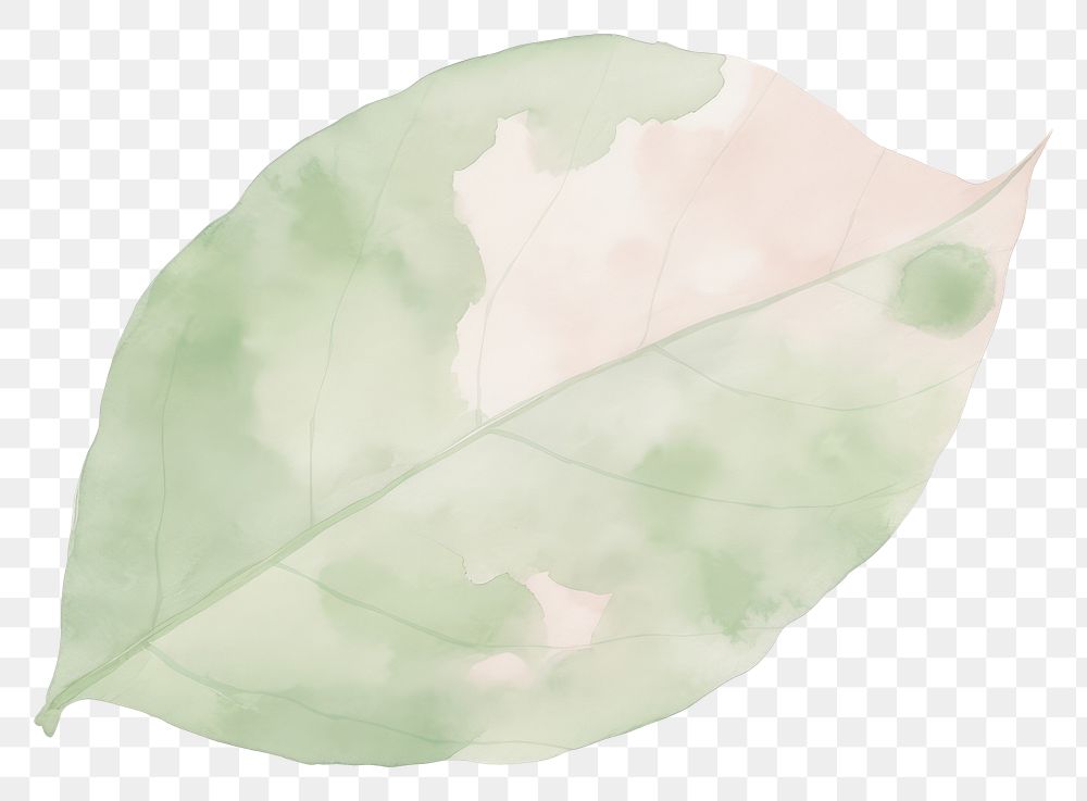 PNG Green leaf marble distort shape plant paper white background.