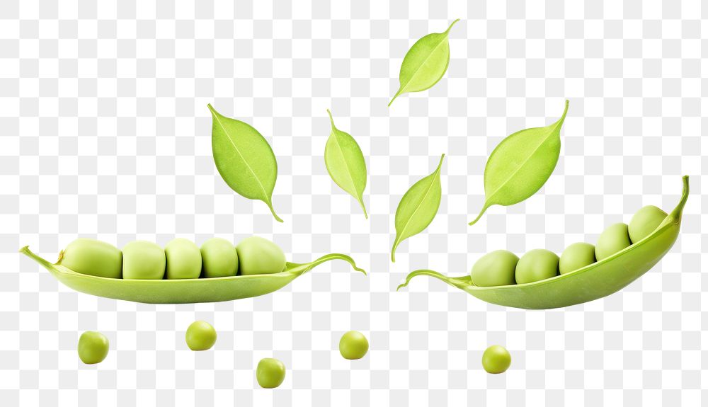 PNG Green peas plant food freshness.