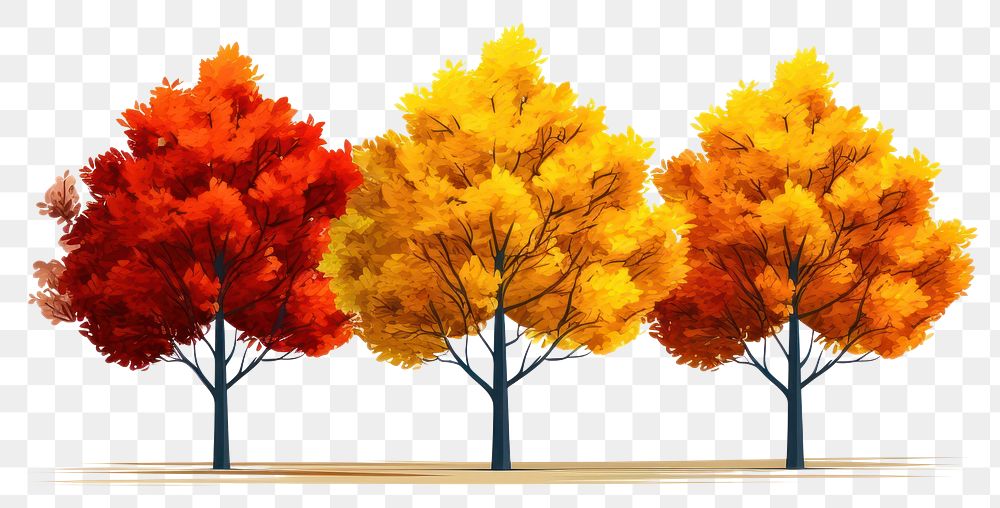 PNG  Colorful autumn trees outdoors plant maple.