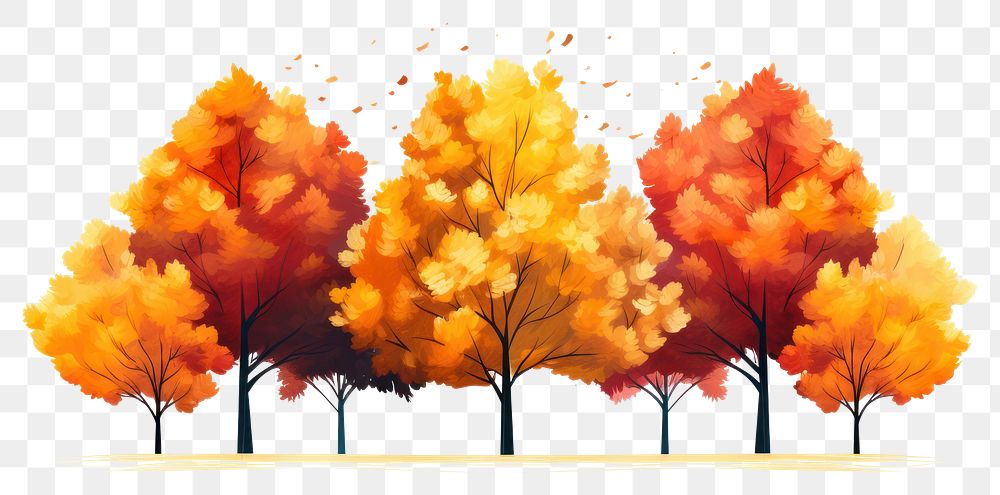 PNG  Colorful autumn trees outdoors plant maple.