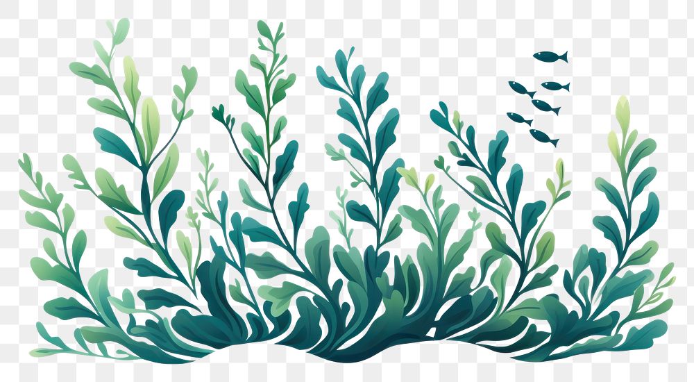 PNG  Sea plant pattern herbs white background. AI generated Image by rawpixel.
