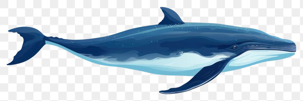 PNG  Whale dolphin animal mammal. AI generated Image by rawpixel.