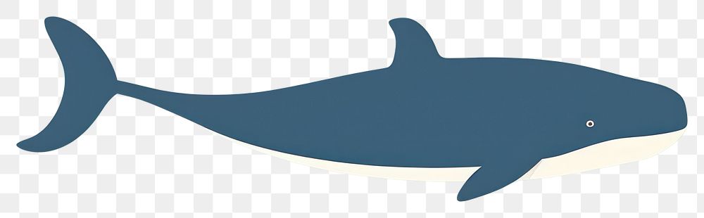 PNG  Illustration of a simple whale animal mammal shark.