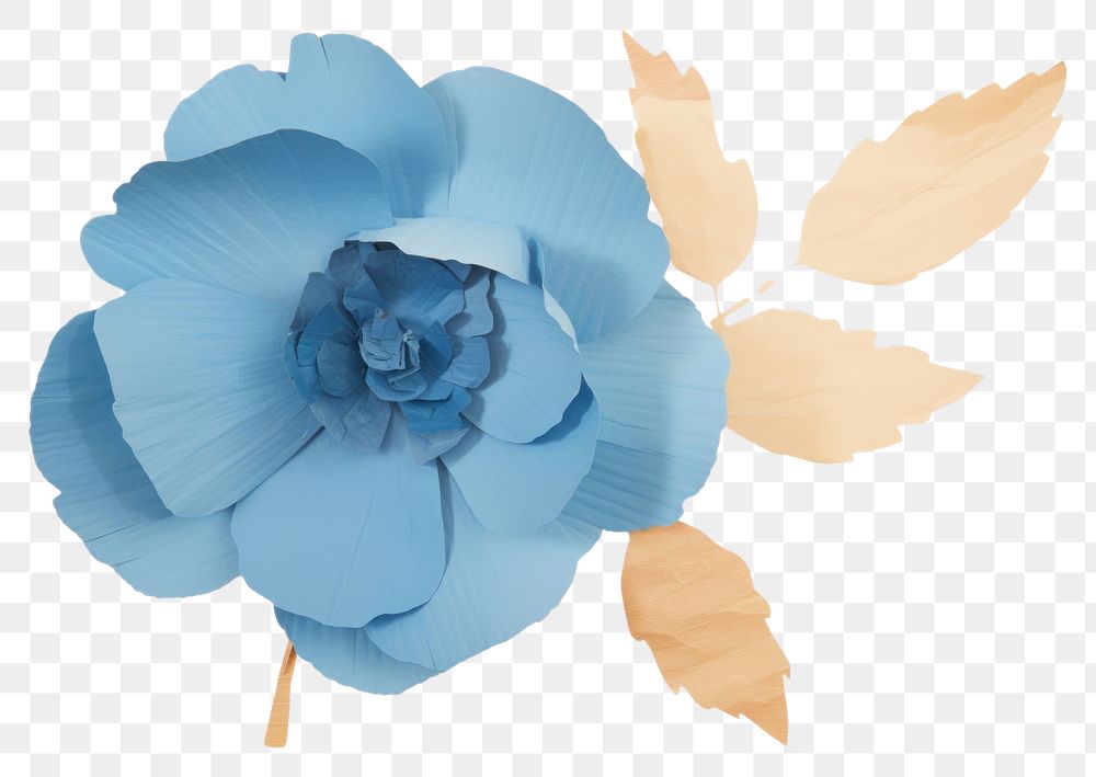 PNG Blue flower petal plant rose.