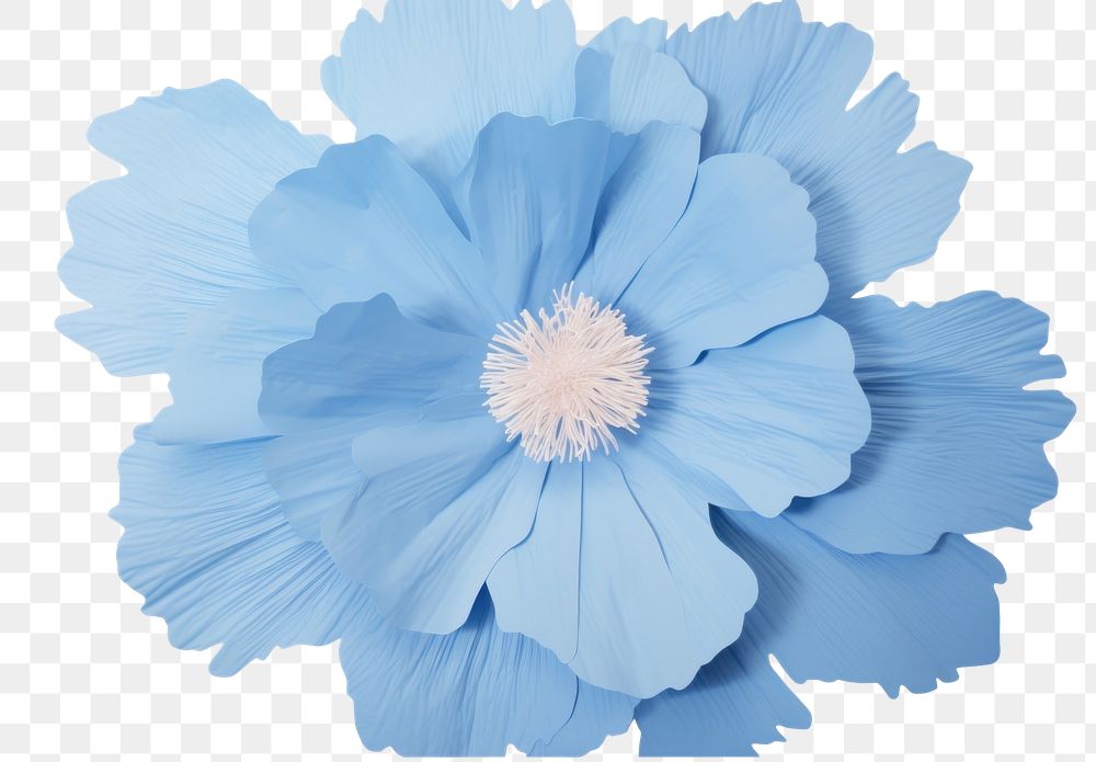 PNG Blue flower petal plant white.