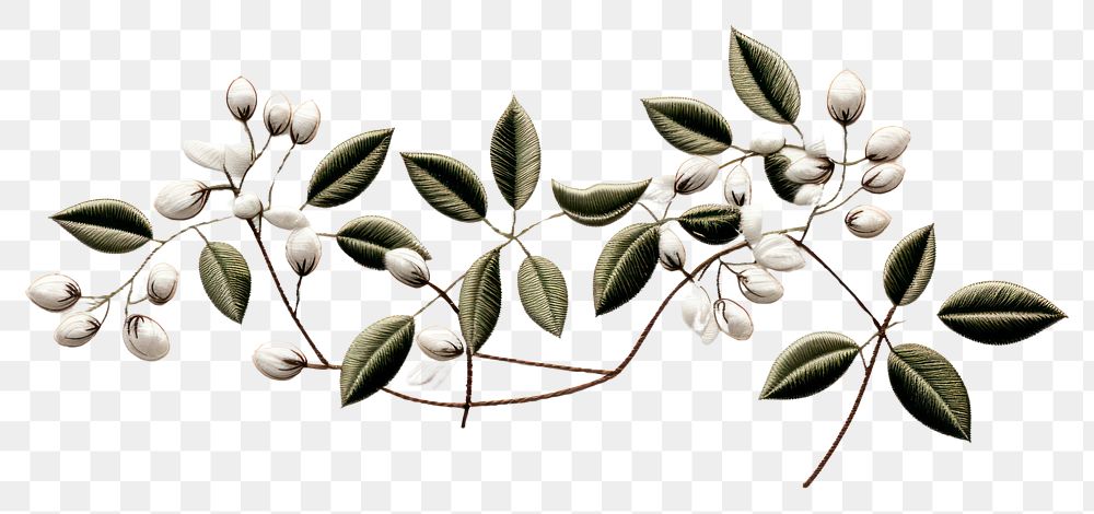PNG Coffee plant in embroidery style white leaf accessories.