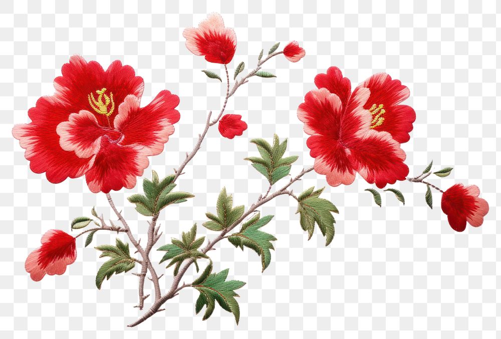 PNG Chinese flower in embroidery style hibiscus blossom plant