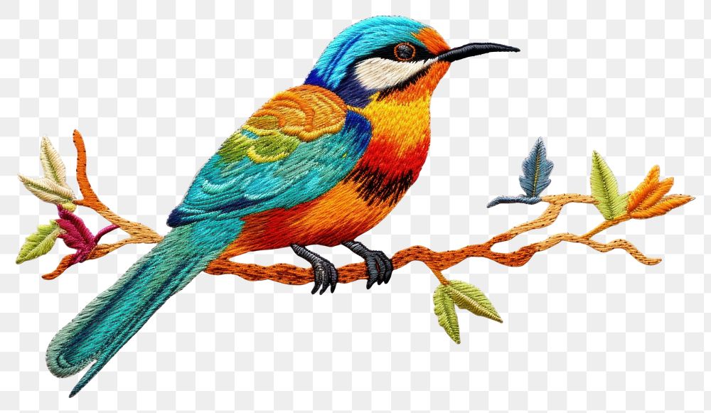 PNG Bird in embroidery style animal beak hummingbird.