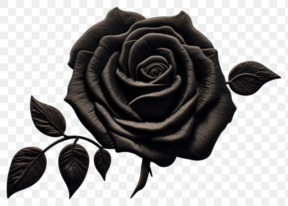 PNG Black rose in embroidery style flower plant inflorescence.