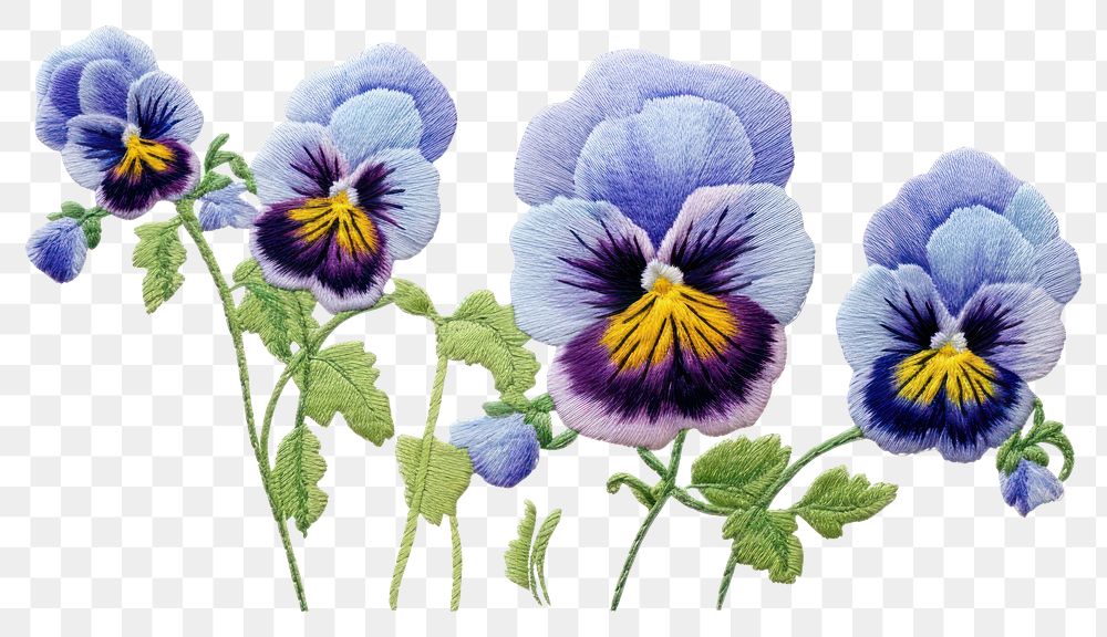 PNG Pansy in embroidery style flower plant inflorescence.