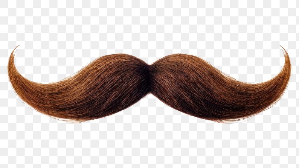 PNG Mustache mustache white background moustache.