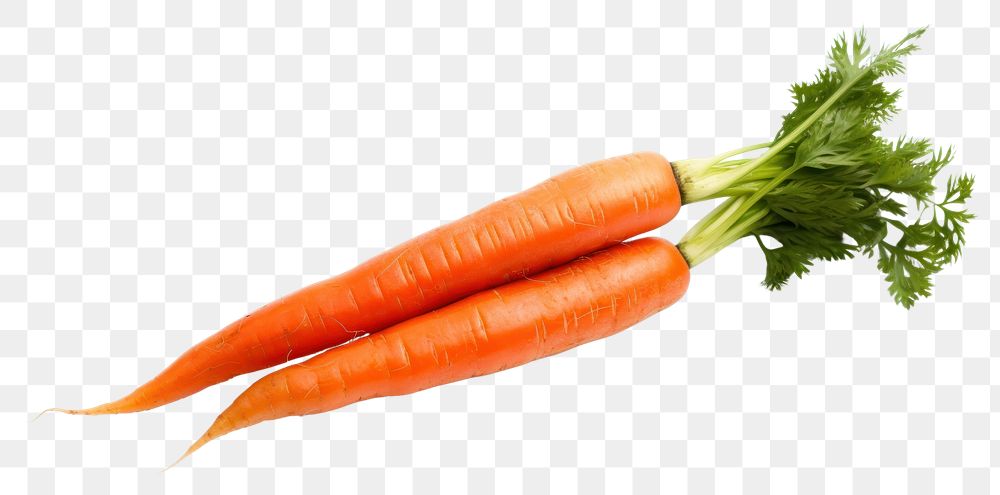PNG Fresh one Carrot carrot vegetable plant.