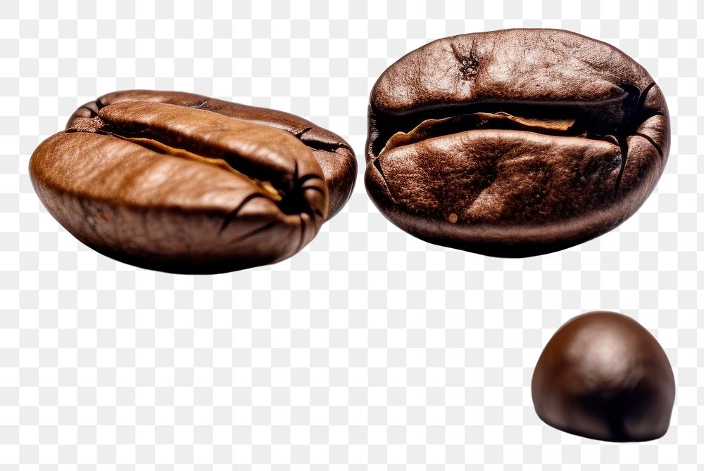PNG Coffee beans white background freshness beverage.