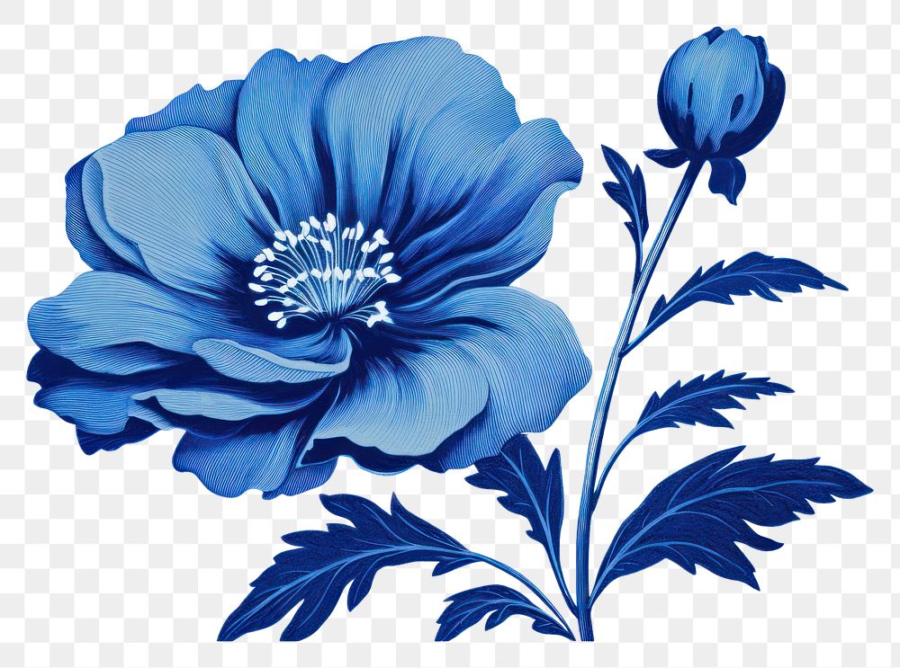 PNG Blue flower pattern plant rose.