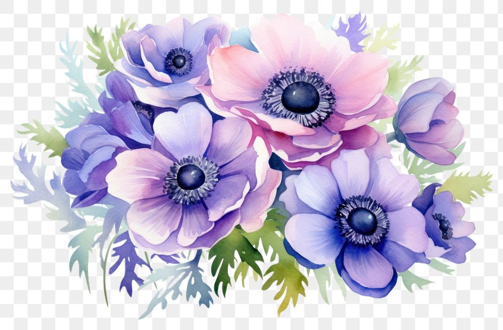 PNG Colorful anemone flower bouquet plant inflorescence creativity.