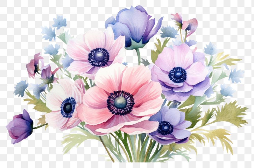 PNG Colorful anemone flower bouquet blossom plant rose.