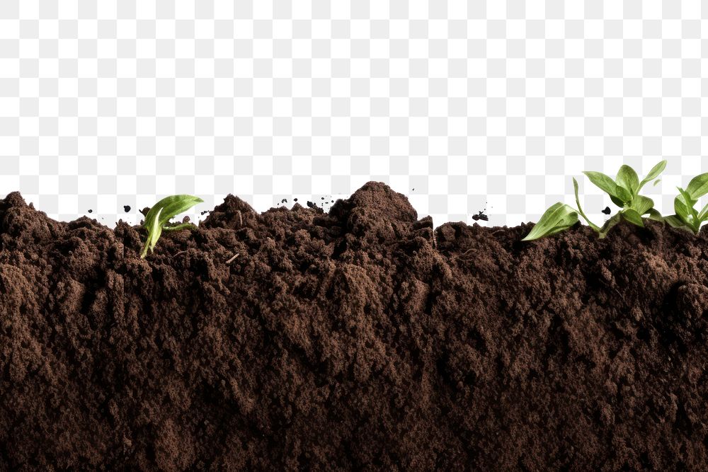 PNG Soil for plant outdoors dirt agriculture. AI generated Image by rawpixel.