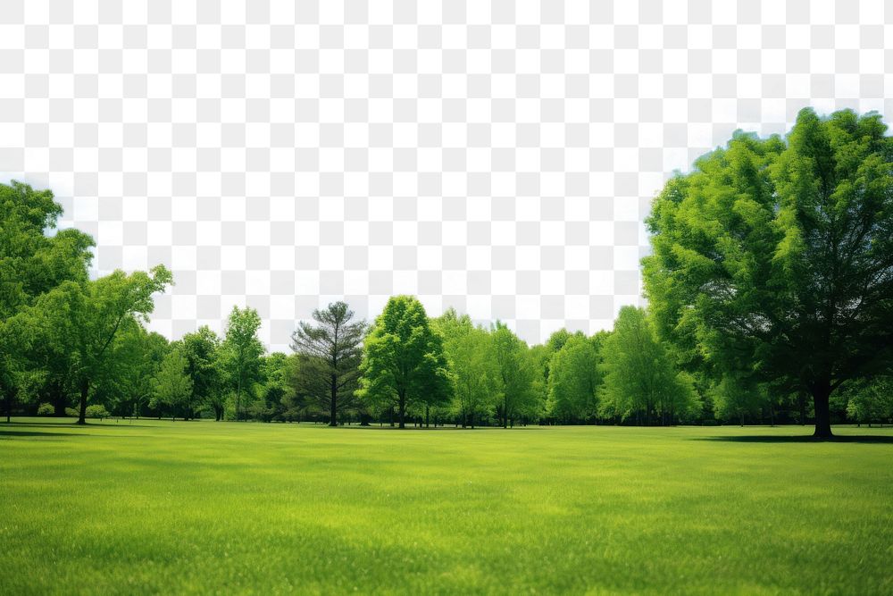 PNG photo of a *nature* with a neatly trimmed lawn surrounded by trees against a blue sky with clouds on a bright sunny day…