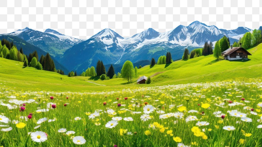 PNG Nature landscape meadow springtime. AI generated Image by rawpixel.