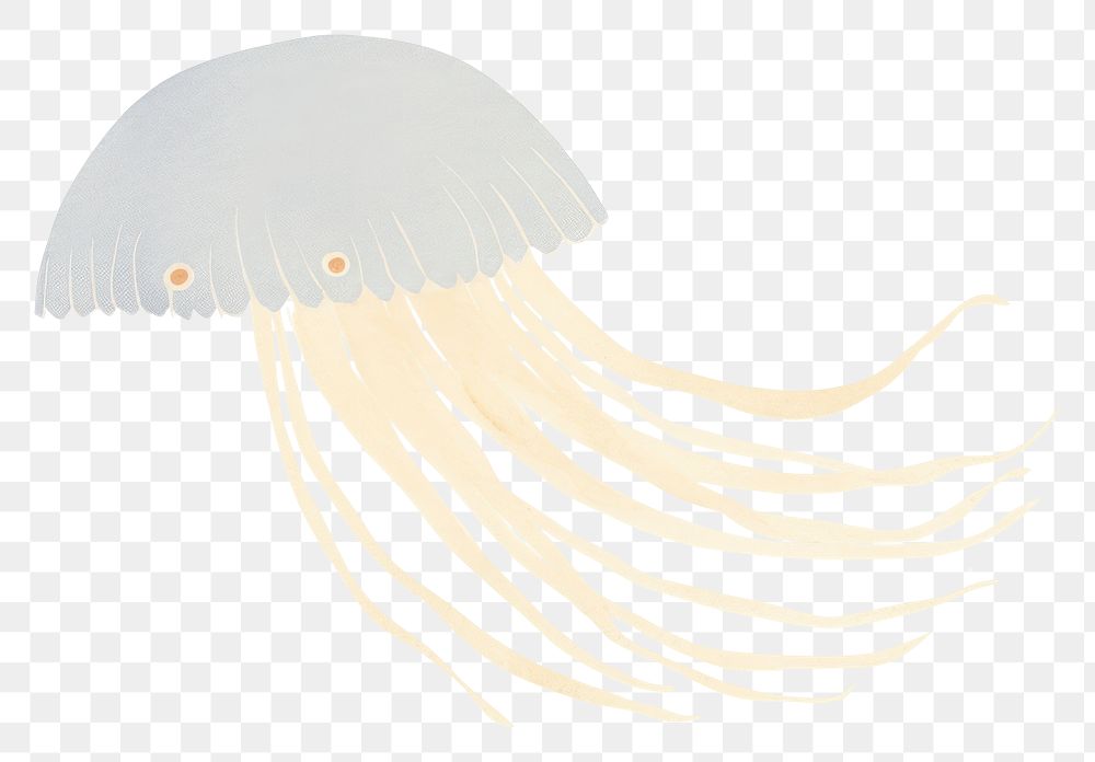PNG  Jelly fish jellyfish drawing white background.