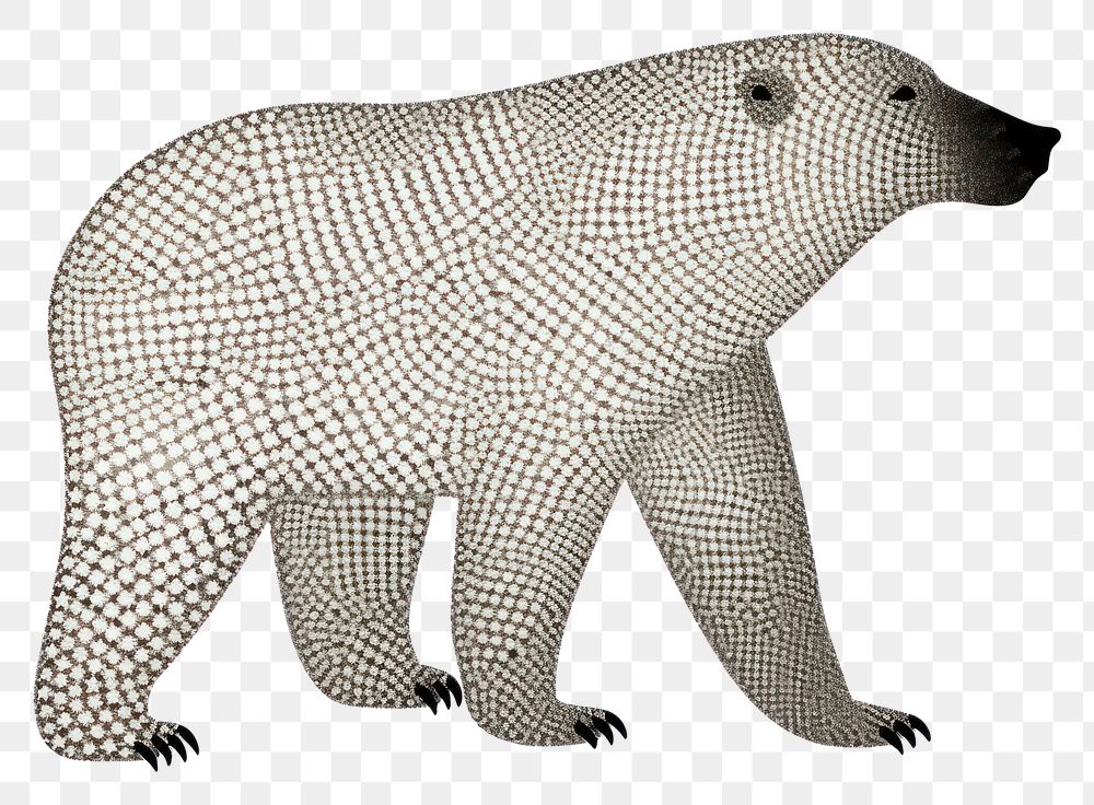 PNG Polar bear wildlife animal mammal.