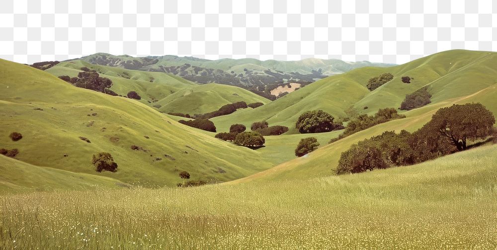 PNG Hills hill landscape grassland.