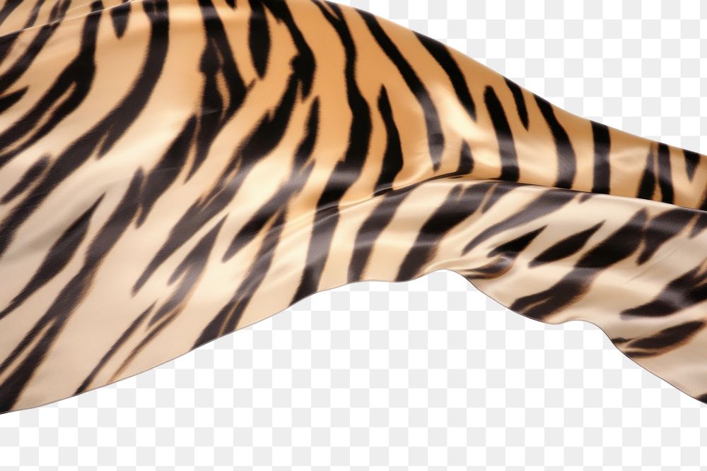 PNG Tiger skin pattern fabric wildlife textile animal.