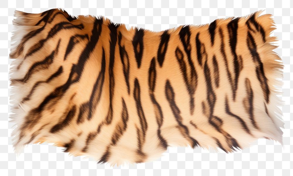 PNG Tiger skin pattern fabric textile animal mammal