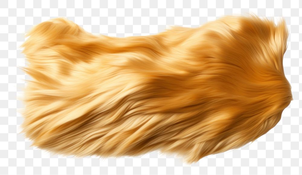 PNG Gold fur fabric textile white background hairstyle.