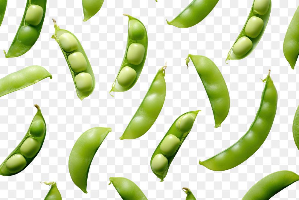 PNG  Beans and peas backgrounds vegetable plant. AI generated Image by rawpixel.