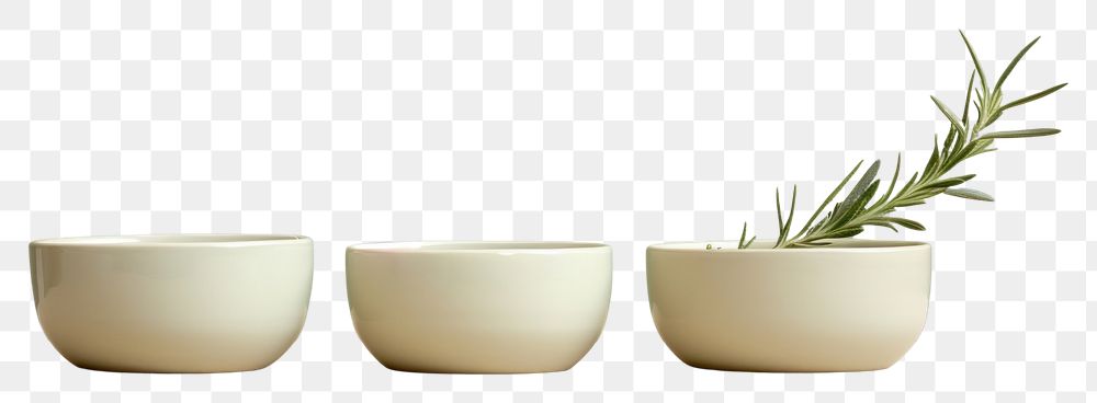 PNG  Porcelain pottery plant herbs. AI generated Image by rawpixel.