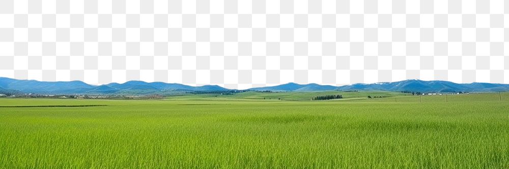 PNG  Sunny weather landscape outdoors horizon. AI generated Image by rawpixel.