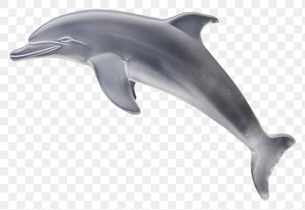 PNG Dolphin animal mammal fish.