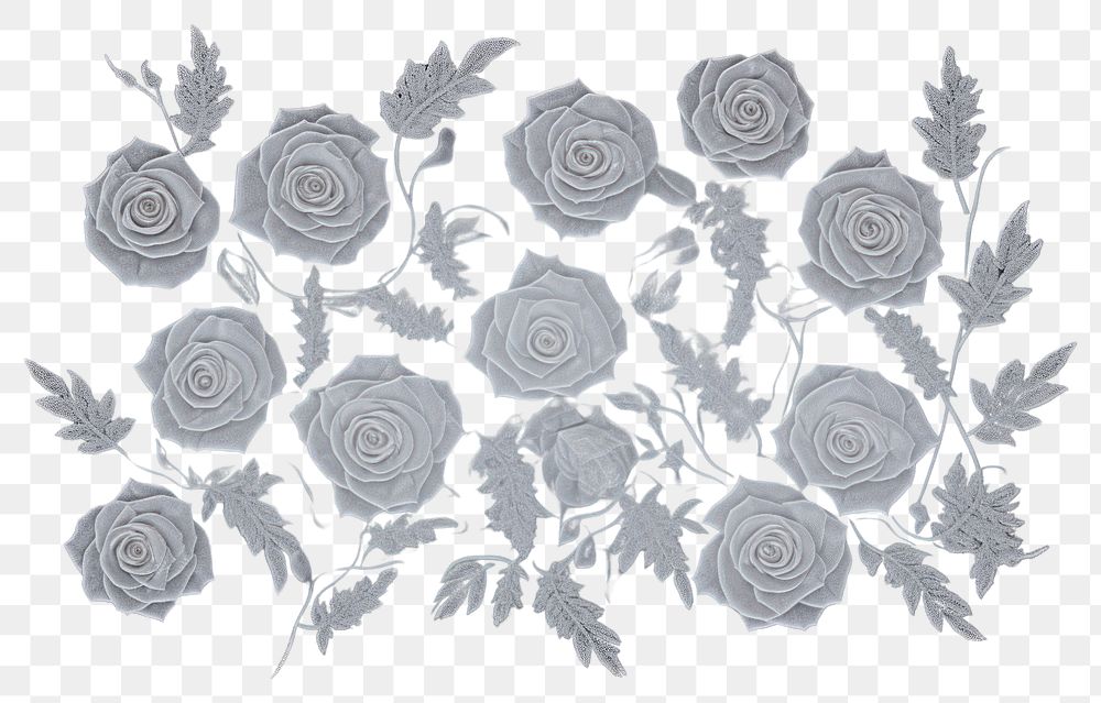PNG  Frosted ice roses frame pattern nature flower.