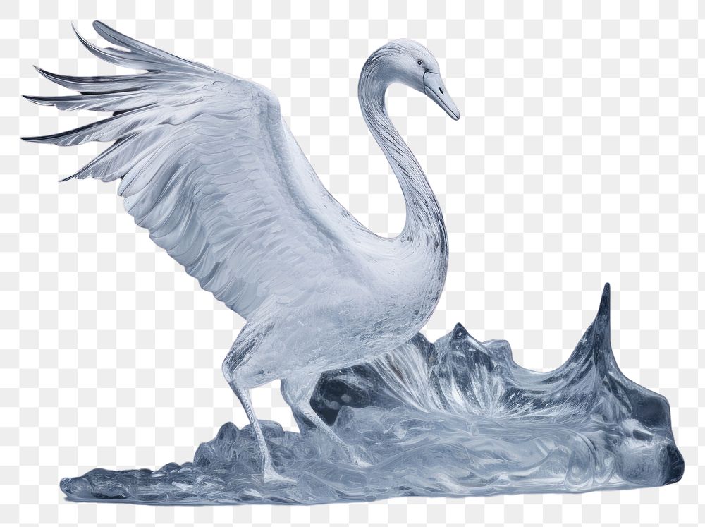 PNG  Swan frosted ice animal bird black background.