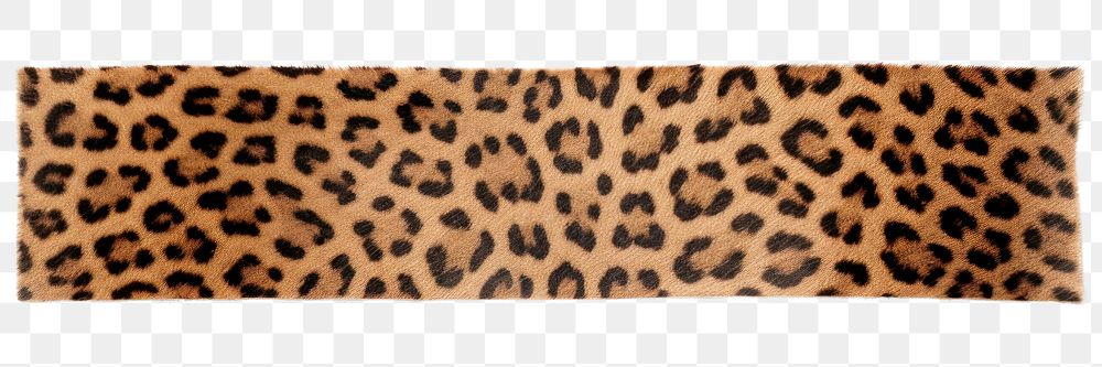 PNG Animal pattern adhesive strip leopard animal white background. AI generated Image by rawpixel.