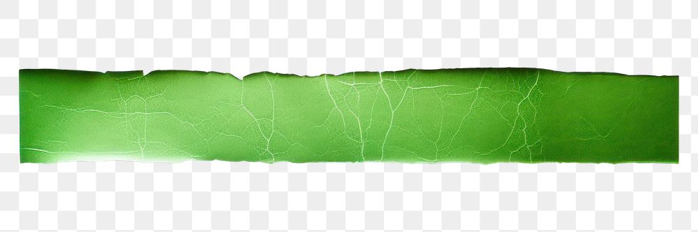 PNG Glossy green vinyl adhesive strip backgrounds paper leaf. AI generated Image by rawpixel.