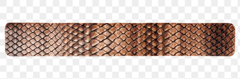 PNG Snake pattern adhesive strip belt white background bling-bling. AI generated Image by rawpixel.
