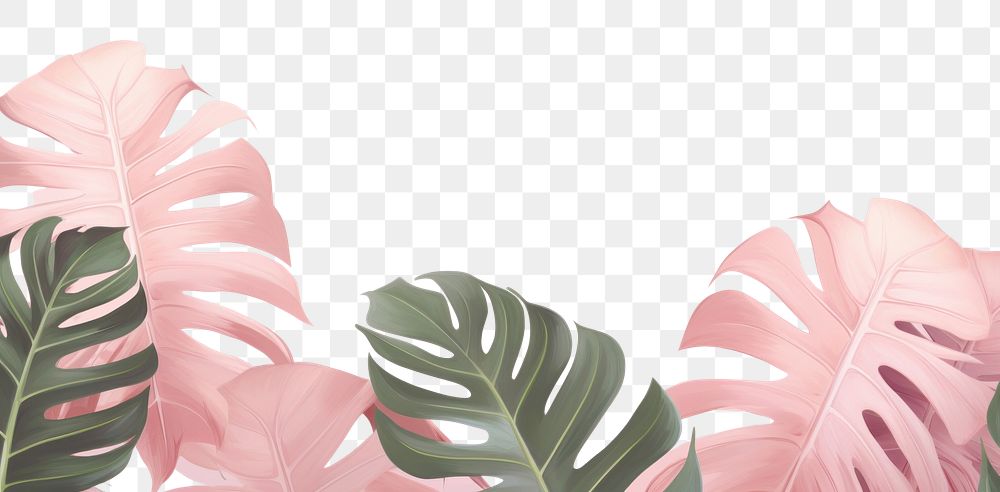 PNG Pink background backgrounds nature plant. AI generated Image by rawpixel.