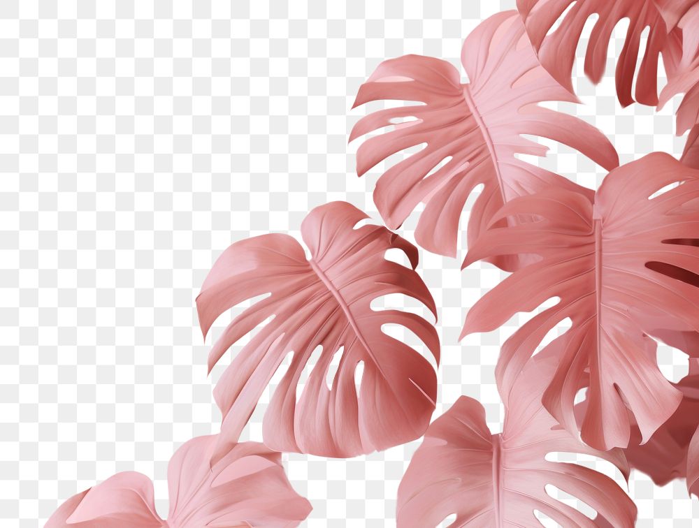 PNG Pink background backgrounds plant petal. AI generated Image by rawpixel.