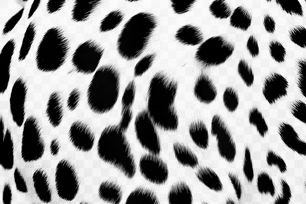 PNG Dalmatian dog skin texture animal backgrounds fur. AI generated Image by rawpixel.