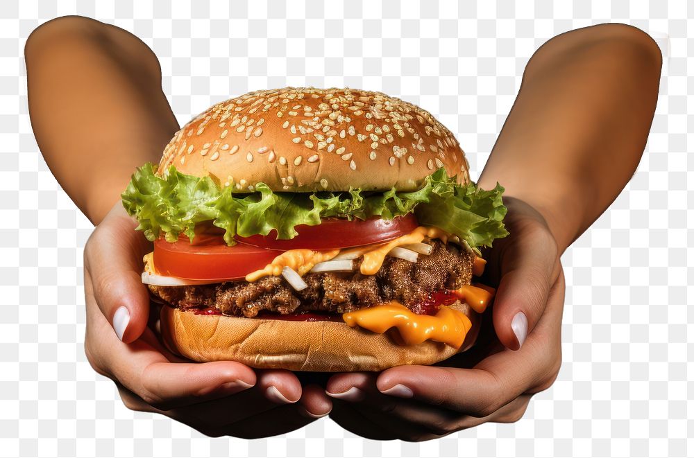 PNG  Burger holding food hand.