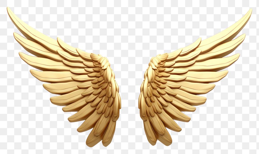 PNG Angel wings gold white background invertebrate.