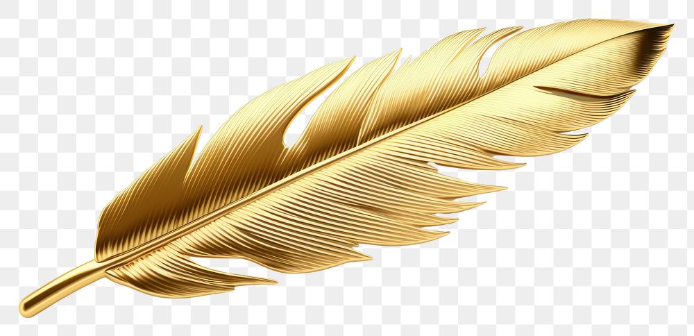 PNG Feather jewelry gold white background.
