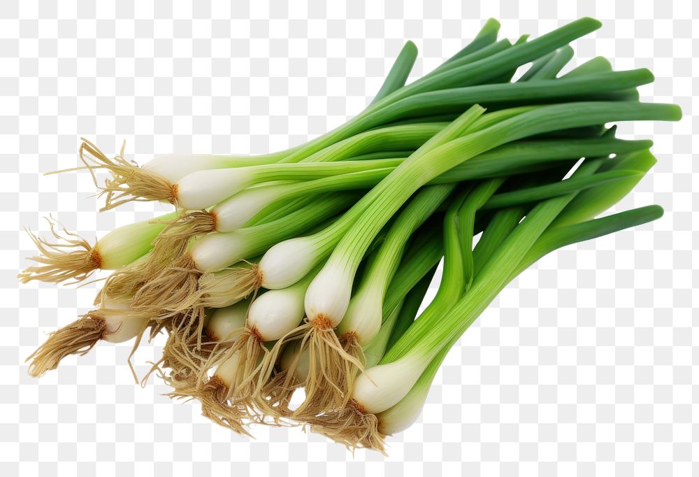 PNG Fresh spring onions vegetable plant food. AI generated Image by rawpixel.